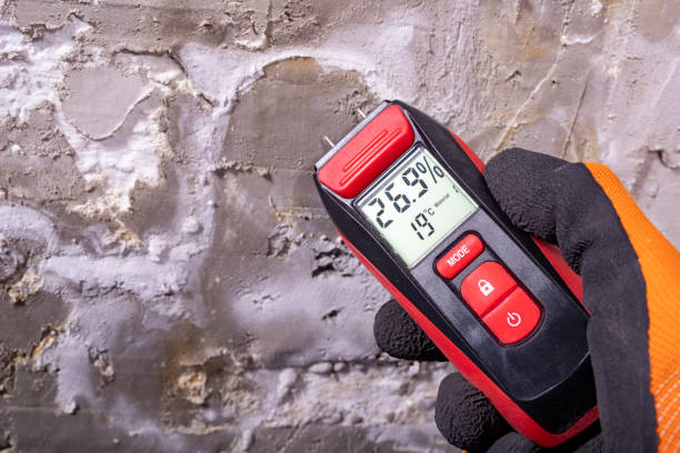 Best Mold Testing  in Bonduel, WI