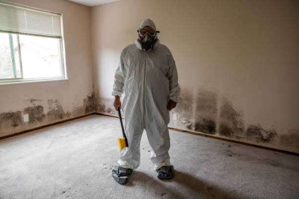 Best Certified Mold Removal  in Bonduel, WI
